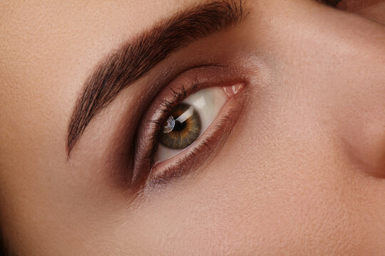 Closeup macro beauty shot of female eye with brown smoky makeup and thick natural brow. Great for fashion, beauty, makeup tutorials, cosmetic ads and wellness content