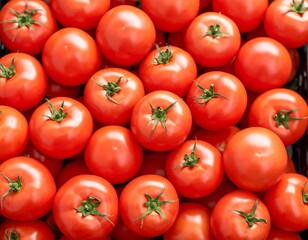 Close-up of many round red tomatoes