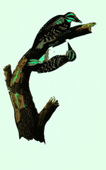 A classic ornithological drawing of a wild bird with abstract, glowing neon accents, a modern digital interpretation of antique wildlife art