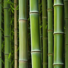 Close-up of green bamboo stalks in nature
