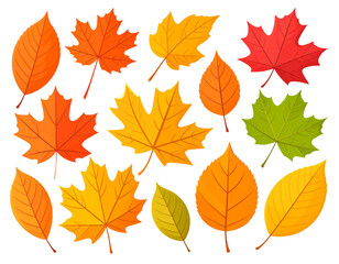 Fototapeta premium Colorful autumn leaves isolated on black, floating in air. Could be used for seasonal design