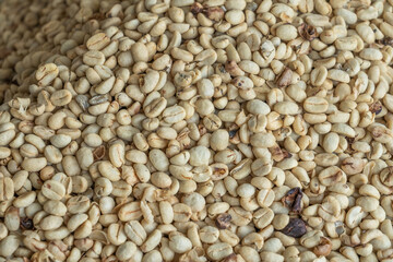 Close-up of coffee beans. showing high quality raw coffee for export. Background