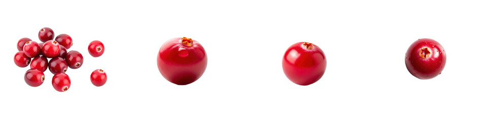 Cranberries in varying sizes and formations isolated. Fruit, healthy, organic, food, antioxidant