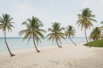 Obraz premium Idyllic tropical beach with leaning palm trees, white sand, and calm turquoise water