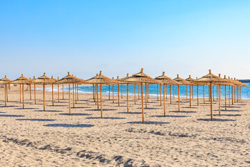 Sunny beach with empty straw parasols and clear blue sky