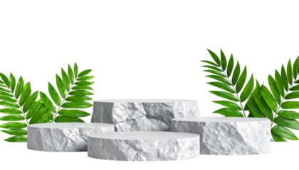 Stone platforms nestled amongst palm leaves, presented on a dark, contrasting background