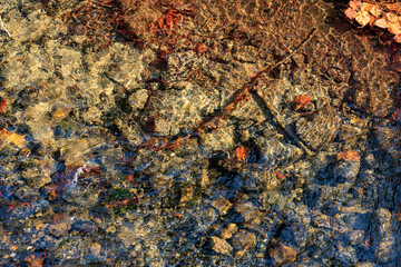 Natural riverbed with rocks and autumn leaves under water surface
