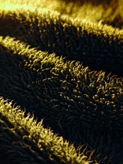 Abstract Golden Fleece Textured Wool with Dramatic Lighting and Shadow Play.
