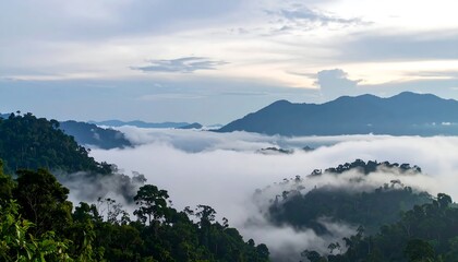 Fototapeta premium A vast, misty expanse of rainforest valleys nestled within a mountain range, draped in a soft, ethereal mist.