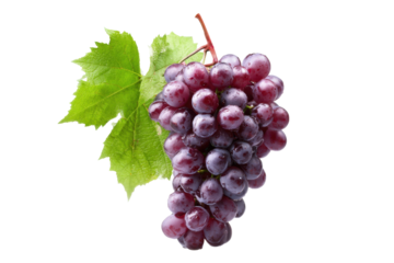 Red Grape Bunch with Leaf on Transparent Background