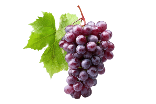 Red Grape Bunch with Leaf on Transparent Background