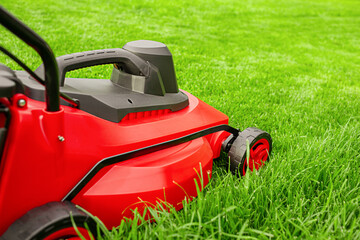 A black and red lawn mower stands on the lawn in the garden.