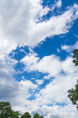 晩夏の空　午後の澄んだ青空と雲25