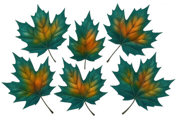 Obraz premium Teal and orange maple leaves transitioning, symbolizing seasonal color shift against transparent backdrop