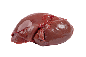 Raw Beef Liver on Transparent Background