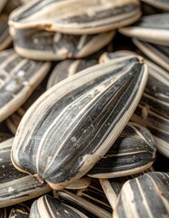 Close-up view of numerous sunflower seeds, showcasing their distinctive black and white striped shells.