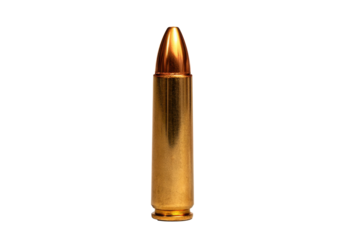 Single Brass Bullet Cartridge on Transparent Background
