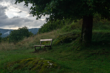 Solitary bench under a tree in the Croatian mountains