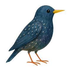 Obraz premium PNG Charming bird illustration art.