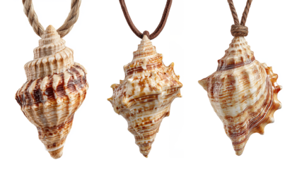 Three Unique Seashell Necklaces On Natural Fiber String isolated on transparent background