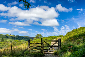 Fototapeta premium Inviting view of a rural footpath through rolling green hills in the countryside.