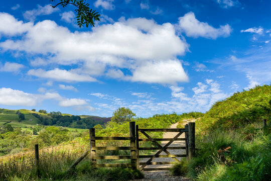 Inviting view of a rural footpath through rolling green hills in the countryside.