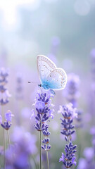 Blue Butterfly on Lavender Field Serenity in Nature's Palette
