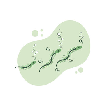 Illustration of primitive microorganisms producing oxygen and ozone. Scientific diagram showing early life and the formation of the ozone layer. Cartoon algae releasing bubbles in water.