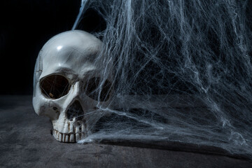 Human skull head covered with spiderwebs. The human skull, devil, evil, or zombie head. Scene of a dark and scary. Halloween concept