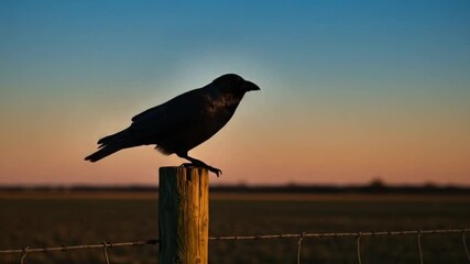Silhouette of a crow perched on a wooden post at sunset casting a serene farm landscape - Powered by Adobe