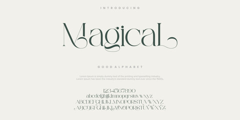 Fototapeta na wymiar Magical Fashion font alphabet. Minimal modern urban fonts for logo, brand etc. Typography typeface uppercase lowercase and number. vector illustration