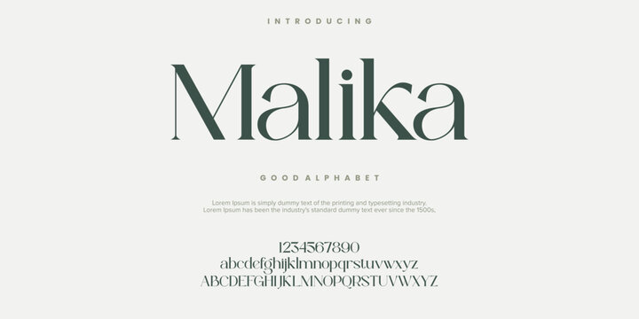 Malika Fashion font alphabet. Minimal modern urban fonts for logo, brand etc. Typography typeface uppercase lowercase and number. vector illustration