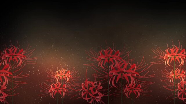 彼岸花のイラストのアニメーション【暗い背景】【ループ】