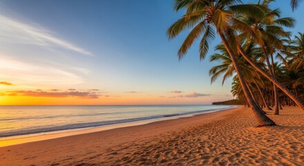 Tropical beach sunrise. Palm trees line a sandy shore at sunrise