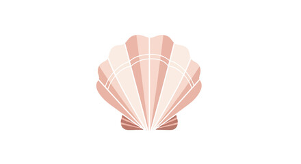 Illustration of a pink seashell with a fan-like pattern on a white background.