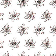 Northern Rock Jasminea flower Seamless Pattern Hand drawn vector line art, Black and Brown Flower isolated in white. Beautiful design for textile, wallpaper, wrapping paper
