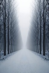 Obraz premium Mysterious winter landscape with snow covered path lined by bare trees fading into fog, creating serene cold atmosphere with symmetry, depth, and dreamy seasonal background scene