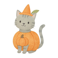 Fototapeta premium PNG Cute cat in pumpkin costume