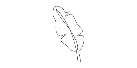 Continuous one line drawing of banana leaf. One line drawing illustration of banana leaf, Tropical leaf concept line art. Doodle vector illustration