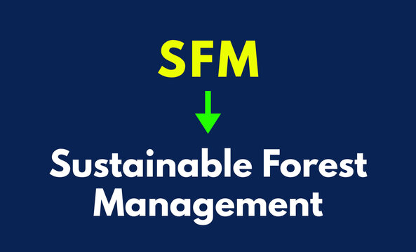SFM Meaning, Sustainable Forest Management