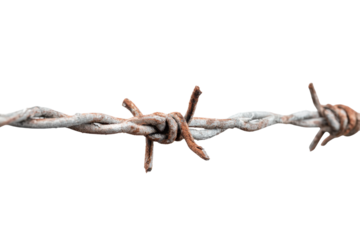 Rusty Barbed Wire Segment on Transparent Background