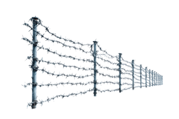 Barbed Wire Fence on Transparent Background
