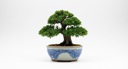 Miniature Bonsai Tree Soft Light Studio Shot. AI Generated