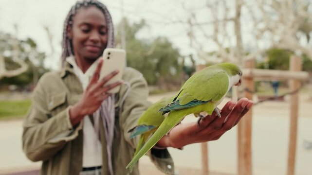 An woman takes pictures of two parrots eating from her hand in a park. This video features themes of LGBT, nature, and wildlife.