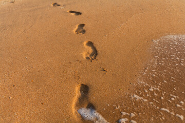 Serene Bare Human Footprints in Wet Sand Near the Coastline