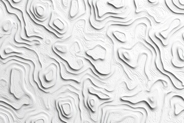 Abstract white relief map (1)