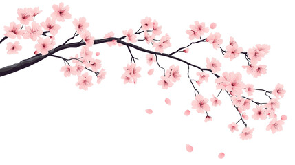 Obraz premium Cherry blossom branch with blooming Sakura. Realistic watercolor cherry flower