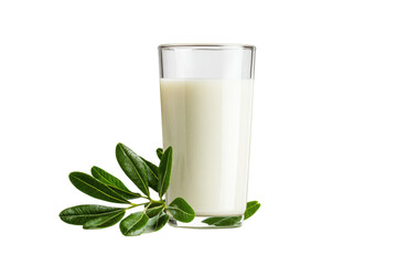 Glass of Plant Milk with Green Leaves on Transparent Background