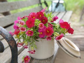 bouquet of flowers