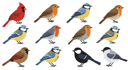 Fototapeta premium Twelve vector illustrations of various bird species, perfect for PNG downloads and ideal for nature-themed designs, websites, and children's books, offering a diverse collection of avian wildlife.